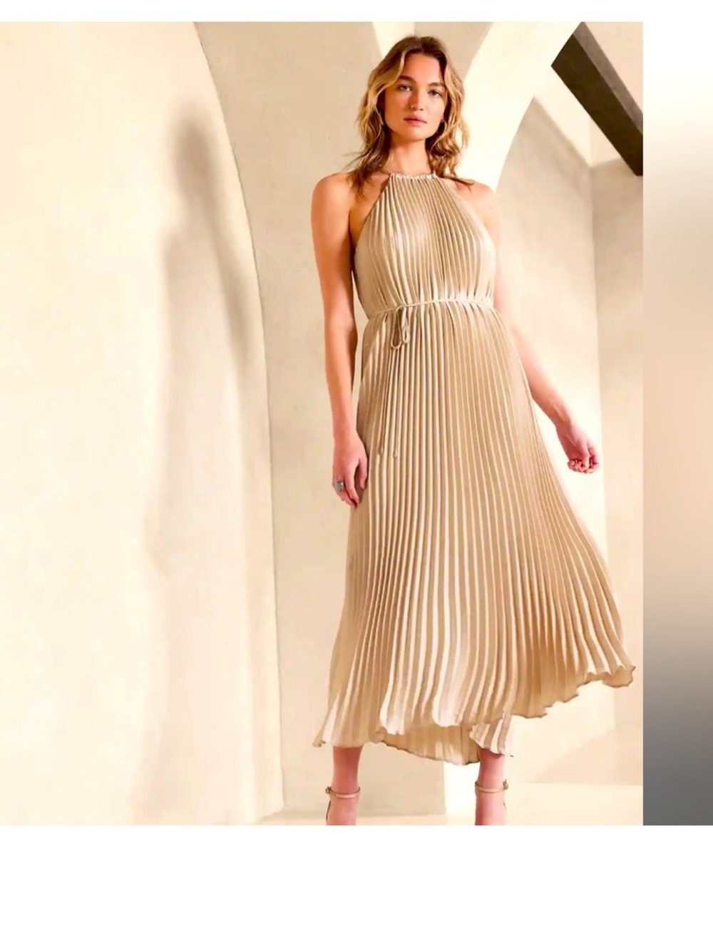 Banana Republic Cream Pleated Halter Maxi Dress - Picture 11 of 11